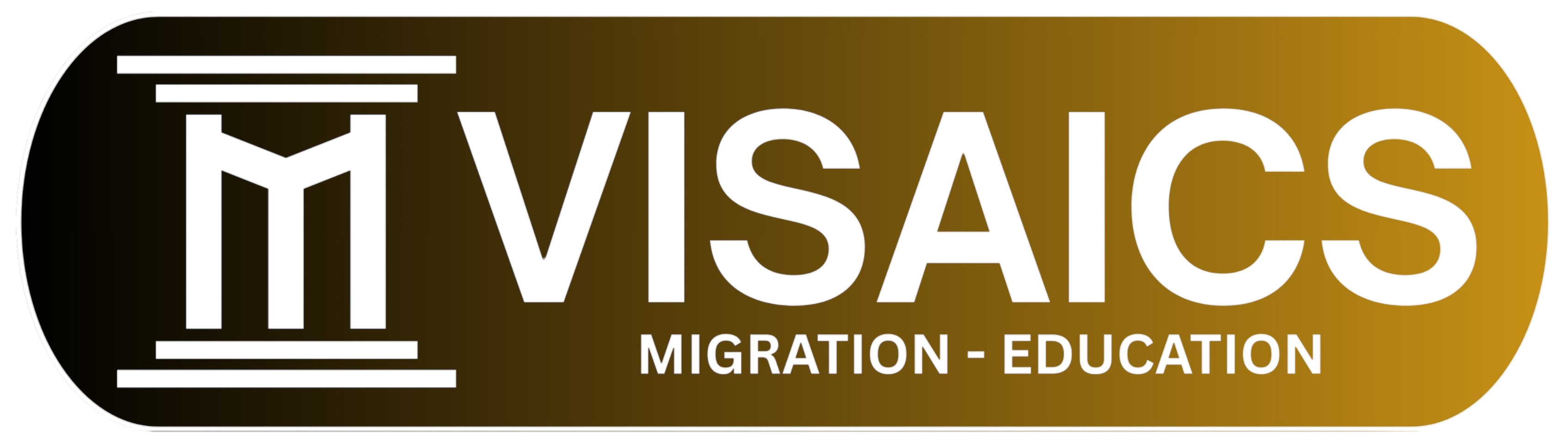 logo_visaics_rm_background